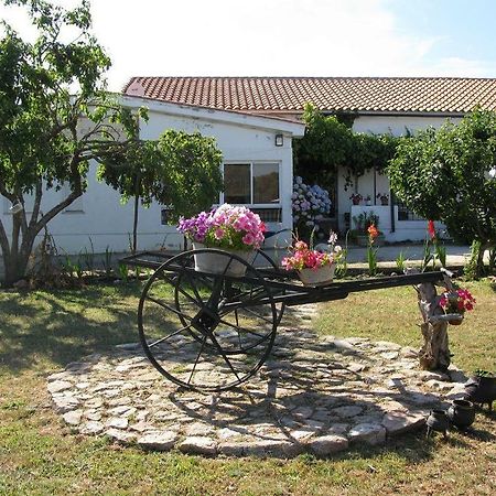 El Condado Casa Rural Fuentes de Onoro Buitenkant foto